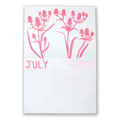 2025 Write-on Drought Tolerant Plants Calendar by Banquet Workshop