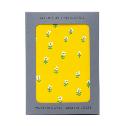 Daisy Pattern Mixed Card Set by Egg Press