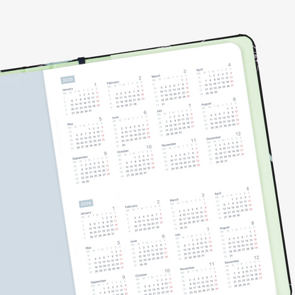 2025 Weekly & Monthly Horizontal Planner by Mossery