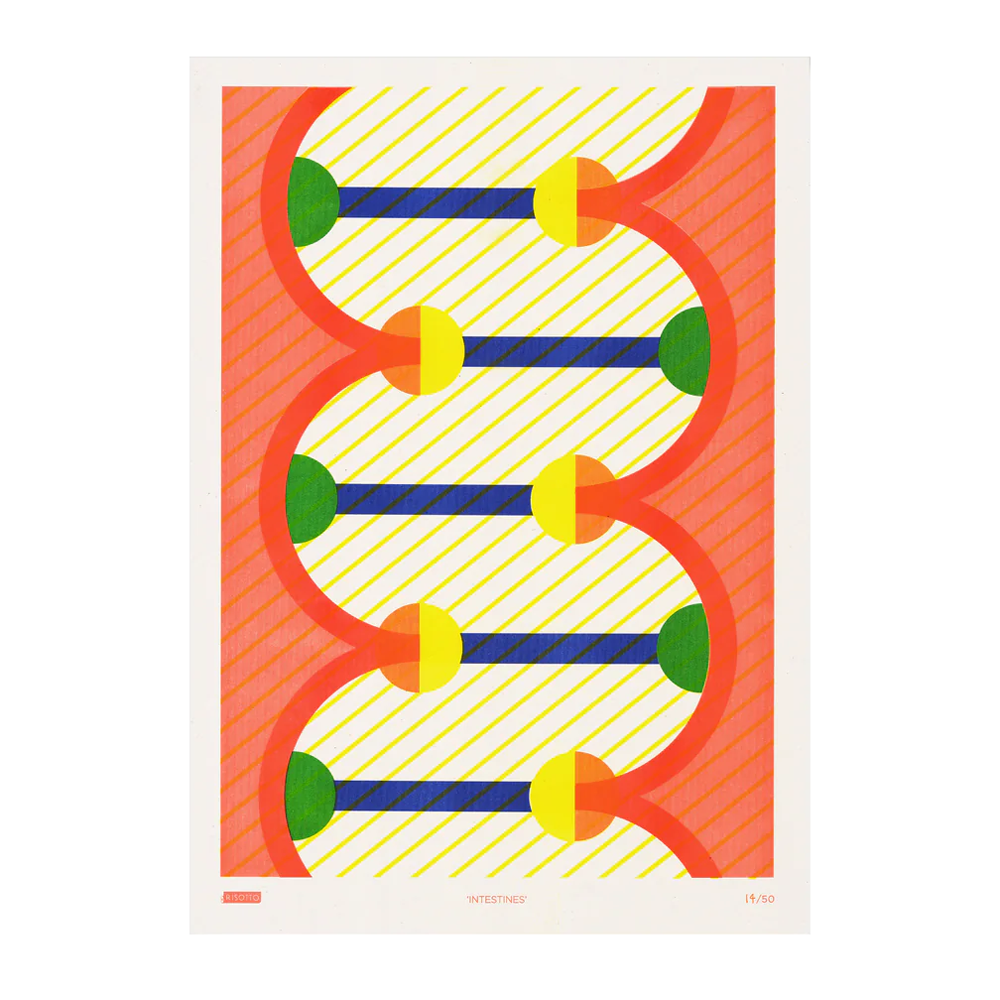 primary colored abstract graphical interpretation of a large intestine