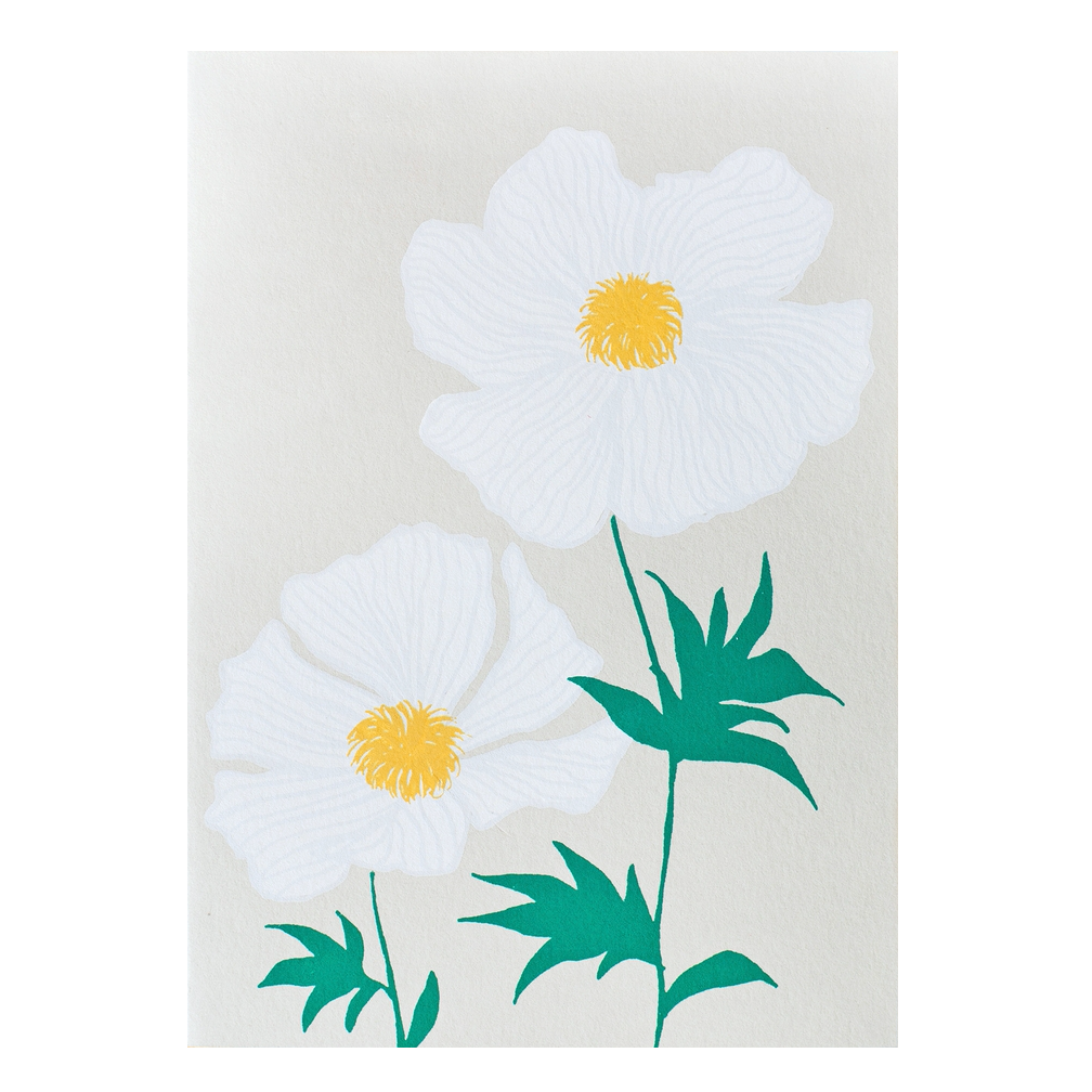 Poppy Card by Alphabet Studios